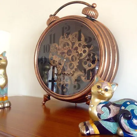 Mici * Playa Blanca (Lanzarote)